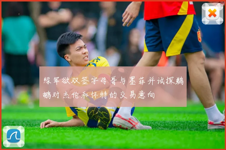 绿军欲双签字母哥与墨菲并试探鹈鹕对杰伦和怀特的交易意向