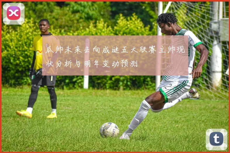 瓜帅未来去向成谜五大联赛主帅现状分析与明年变动预测