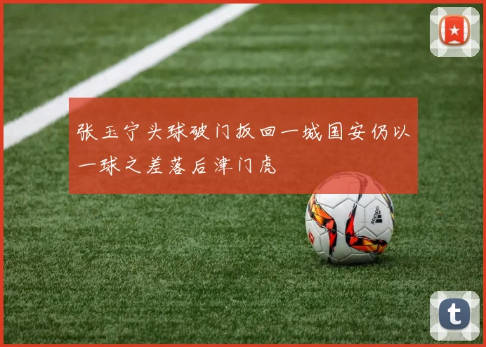 张玉宁头球破门扳回一城国安仍以一球之差落后津门虎