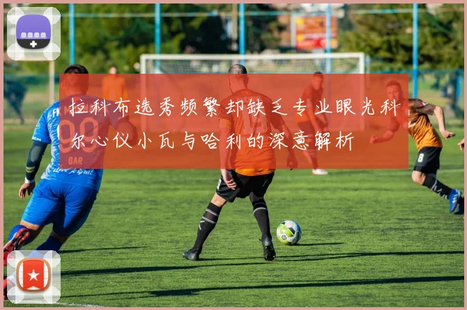 拉科布选秀频繁却缺乏专业眼光科尔心仪小瓦与哈利的深意解析