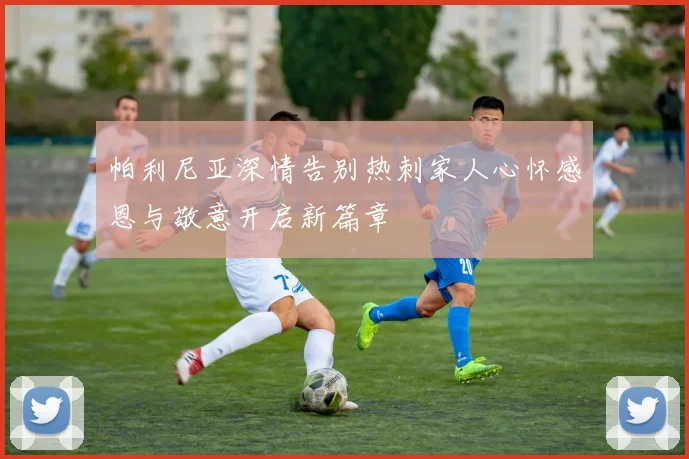 帕利尼亚深情告别热刺家人心怀感恩与敬意开启新篇章